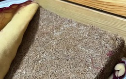 7 thứ trong nhà dễ là ổ phát tán Formaldehyde, càng dùng lâu càng dễ ung thư