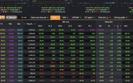 Chứng khoán lấy lại sắc xanh, cổ phiếu hàng không của tỉ phú Nguyễn Phương Thảo tăng kịch trần