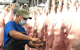 TP.HCM thí điểm sàn giao dịch thịt heo trong tháng 12