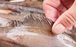 Đừng mua 5 loại cá này nữa, nhà có sẵn cũng đừng ăn, tôi mừng vì người bán cá đã tiết lộ