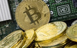 Thị trường tiền số hôm nay, 20-11: Chuyên gia hé lộ tín hiệu có thể khiến nhà đầu tư bất ngờ