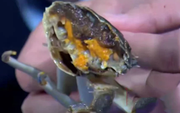 4 loại thịt dễ “ôm ổ ký sinh trùng”, dân buôn cũng ngại ăn