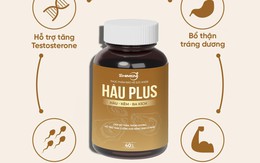 Shimen và Hàu Plus: Góc nhìn mới về sản phẩm hỗ trợ sinh lực nam giới tại Việt Nam