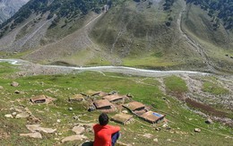 Nghề "hái ra tiền" không cần bằng cấp, làm một tháng đủ tiêu cả năm