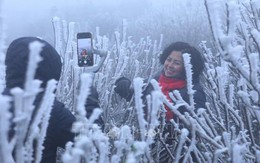 Miền Bắc đã xuất hiện băng giá sớm: Không phải ở Fansipan, đây cũng là điểm du lịch nổi tiếng Việt Nam