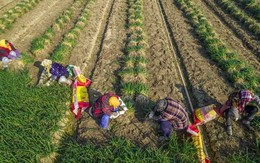 Bị phương Tây mạnh tay áp thuế xe điện, Trung Quốc lập tức tung món ‘võ cổ truyền’ từng trăm trận trăm thắng - bây giờ ai mới đang gặp áp lực?