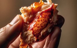 Một sản vật của Việt Nam bùng nổ đơn hàng, Trung Quốc không ngần ngại chi tỷ đô thu mua