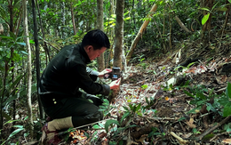 Nghe tiếng động lạ, người dân Thanh Hóa phát hiện loài vật quý hiếm sắp tuyệt chủng: Tưởng vô hại nhưng cực nguy hiểm, quyết định báo cảnh sát ngay