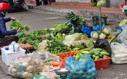 Rau củ đắt hơn thịt, người Hà Nội choáng như bị 'móc túi'
