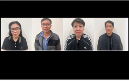 Khởi tố 8 bị can trong vụ án buôn lậu liên quan đến hệ sinh thái Mailisa