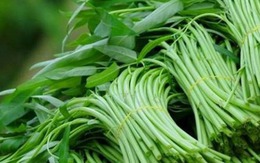 Mua rau, cứ học thuộc mẹo này là biết rau trồng tự nhiên hay rau phun thuốc kích thích