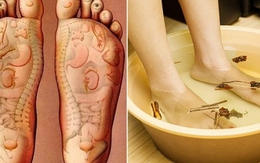 Trời lạnh, nếu muốn ngủ ngon thì đây chính là việc bạn nên làm mỗi tối, người trung niên càng chăm làm thì khí huyết càng lưu thông