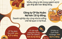 Ba Huân, Color Man Food cùng nhiều công ty khác nợ BHXH tiền tỉ