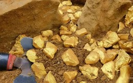 Phát hiện 150 tấn vàng trị giá hơn 120.000 tỷ đồng, cảnh sát lập tức phong tỏa khu vườn của một nông dân