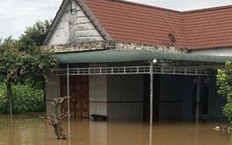 Chi tiết mực nước trên sông Đồng Nai và La Ngà, cảnh báo nguy cơ ngập lụt