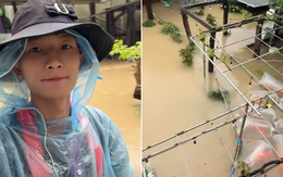 Tin tức mới nhất về đàn cá Koi vài trăm triệu bị nước lũ cuốn trôi ở Đắk Lắk