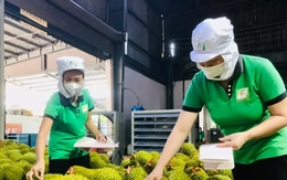 Rau quả Việt xuất khẩu gây bất ngờ