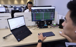 Nông nghiệp Hoà Phát (HPA): IPO 30 triệu cổ phiếu giá 41.900 đồng/cp