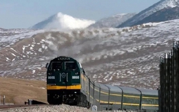 Trung Quốc chi số tiền khủng chôn 15.000 thanh sắt dọc tuyến đường sắt: Hóa ra họ chính là "bậc thầy"