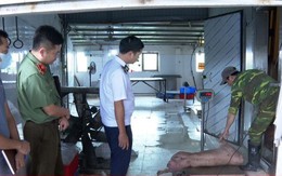 Khởi tố chủ cơ sở chăn nuôi ở Hưng Yên tuồn lợn bệnh ra thị trường