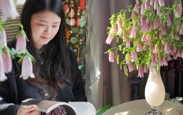 Tím lịm những chiếc “chuông gió” bé xíu: Loài hoa nhìn là muốn bưng cả bình về nhà chơi Tết