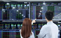 Tâm điểm giao dịch chứng khoán đang hướng vào nhóm nào?