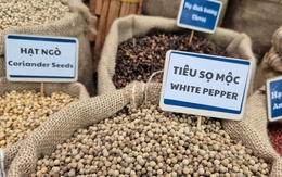 5 ngành hàng tỉ đô kiến nghị Quốc hội gỡ khó