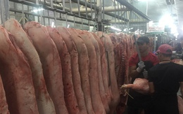 Giá heo hơi hôm nay, 24-11: Heo về chợ tiếp tục giảm, điều gì đang xảy ra?