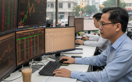 Chứng khoán 24-11: VN-Index tăng mạnh nhưng sắc đỏ vẫn áp đảo thị trường