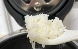 Có nên để nồi cơm điện luôn cắm điện ở chế độ giữ ấm?