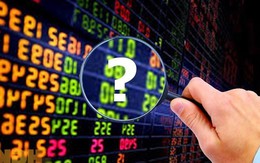 VN-Index dự báo sẽ vượt 1.700 điểm, CTCK gọi tên nhóm cổ phiếu kỳ vọng hút tiền mạnh