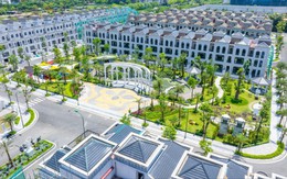 BĐS thấp tầng Hà Nội: Tài sản gia tăng bền vững trong nhịp dịch chuyển dòng vốn