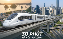 Ở Hạ Long, đi làm Hà Nội bằng tàu điện cao tốc: Chuyện lạ Việt Nam nhưng có lạ với Mỹ, Anh, Pháp, Trung Quốc?