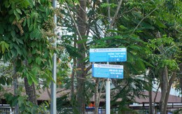 Ngôi trường ở miền Tây có cổng trường mang tên 9 nhánh sông Cửu Long, cả khuôn viên như “bảo tàng sống”