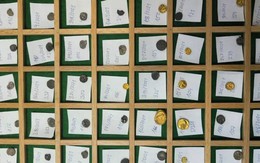 Kho báu vô giá được tìm thấy tại địa điểm bí mật của châu Âu