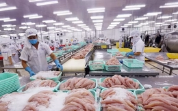 Châu Âu siết mạnh truy xuất nguồn gốc thủy sản