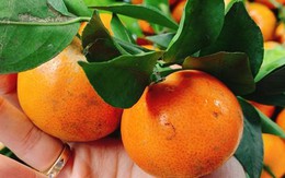 Loại quả chống huyết khối, ngừa đột quỵ đang vào mùa bạt ngàn chợ Việt, tiếc vì toàn bị đánh giá thấp