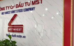 MST chào bán thành công 30 triệu cổ phiếu cho 9 nhà đầu tư trong nước