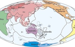 Xác nhận lục địa thứ 8 của Trái đất, rộng gần 5,5 triệu km2 ở Thái Bình Dương
