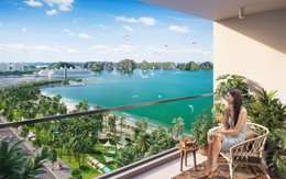 Đón sóng hạ tầng, Sun Centro Town dẫn nhịp tăng trưởng mới của Quảng Ninh