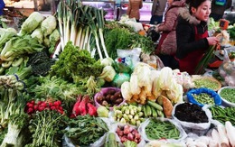 5 loại rau tốt ngang nhân sâm mùa này, đi chợ thấy phải MUA ngay