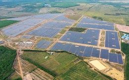 "Trùm" điện gió, điện mặt trời Thái Lan kiếm hơn 2.100 tỷ tại Việt Nam sau 9 tháng