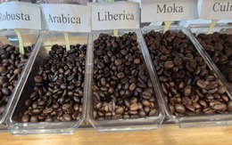Giá cà phê hôm nay 26-11: Tăng 3 con số trở lại