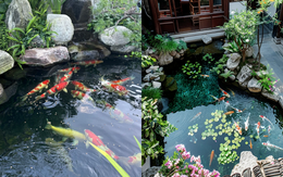 Trước nhà có ao phong thủy tốt hay xấu? Đọc xong bớt lo lấp ao vội