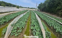 Hà Nội chính thức thông qua bảng giá đất mới, đất nông nghiệp cao nhất 290.000 đồng/m2