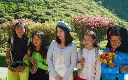 Gen Z rủ nhau lên núi săn mây, ngắm hoa tam giác mạch