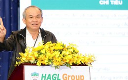 Phần tài sản giá trị nhất của HAGL bất ngờ tập trung vào đơn vị “chỉ để làm thương mại”, phía sau là lý do chưa thể tiết lộ của Bầu Đức