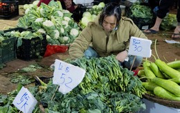 Sự thật giá rau "đắt hơn thịt" ở Hà Nội