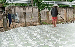 Xem người miền Tây quét sân, cả nước "tiền đình, hoa mắt"