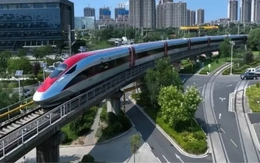 Chọn nhà đầu tư đường sắt tốc độ cao: Công khai, không dấm dúi